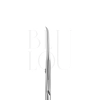 zebra 23 1 03.webp