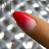 ombre colo gel 81.jpg