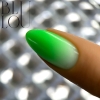 ombre colo gel 74.jpg