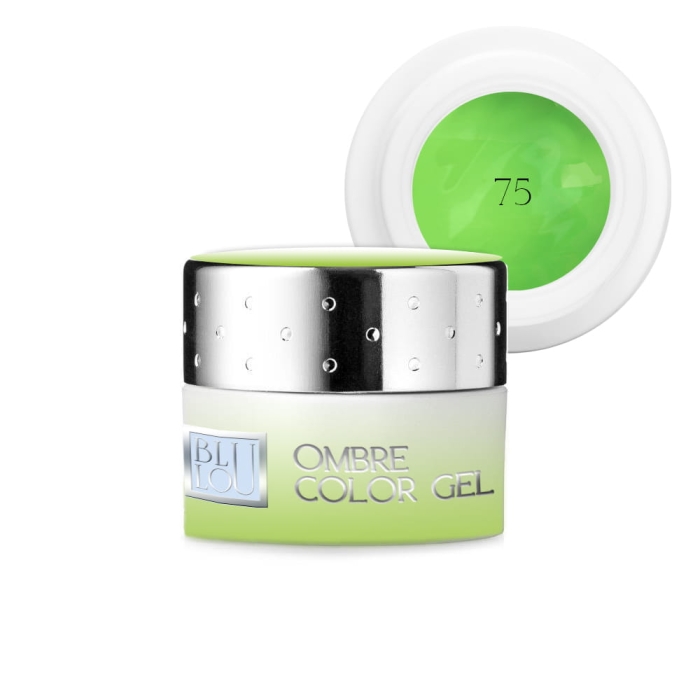 OMBRE COLOR GEL 75.jpg