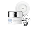 Ornament Paint Gel 54.jpg